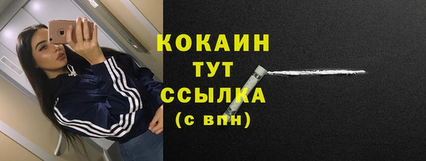 сатива Абдулино