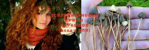кокс Абаза